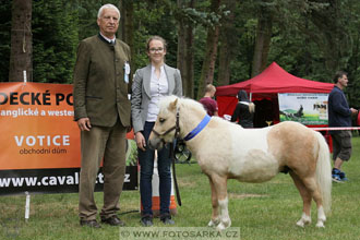 Podzámecká výstava