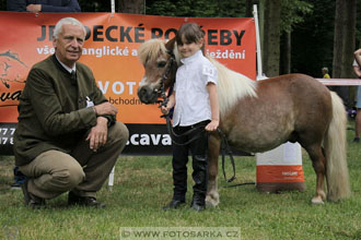 Podzámecká výstava