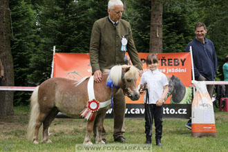 Podzámecká výstava