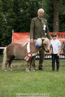 Podzámecká výstava