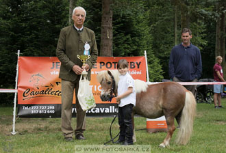 Podzámecká výstava