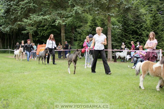 Podzámecká výstava