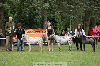 Podzámecká výstava