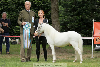 Podzámecká výstava