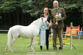 Podzámecká výstava