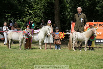 Podzámecká výstava