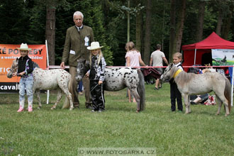 Podzámecká výstava