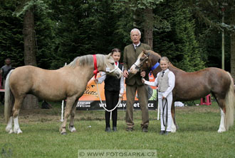 Podzámecká výstava