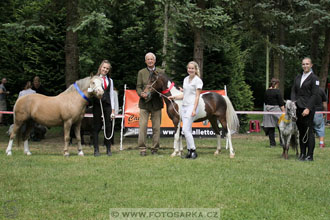 Podzámecká výstava