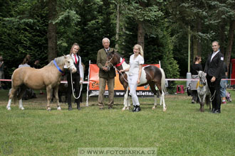 Podzámecká výstava