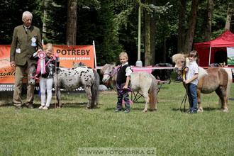 Podzámecká výstava