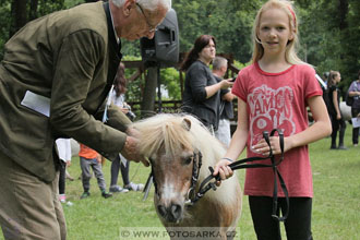 Podzámecká výstava