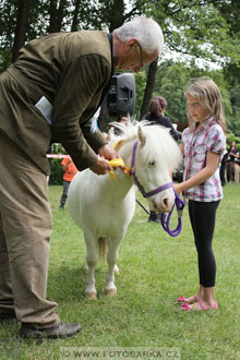 Podzámecká výstava