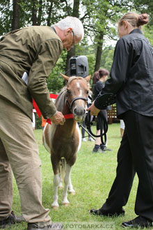 Podzámecká výstava