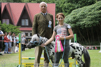 Podzámecká výstava