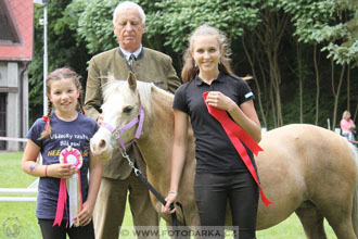 Podzámecká výstava