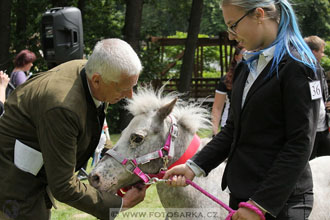 Podzámecká výstava