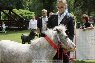 Podzámecká výstava