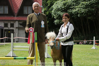 Podzámecká výstava