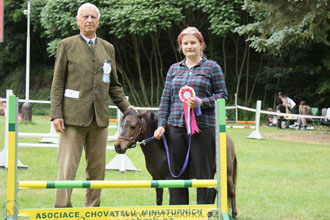 Podzámecká výstava