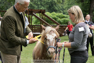 Podzámecká výstava