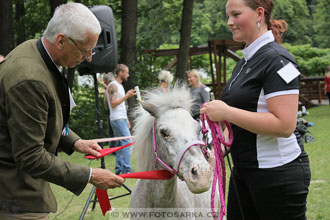 Podzámecká výstava
