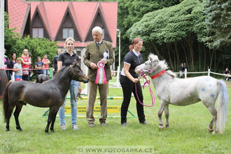 Podzámecká výstava