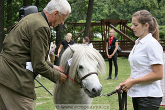 Podzámecká výstava