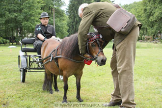 Podzámecká výstava