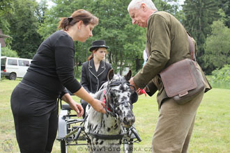 Podzámecká výstava