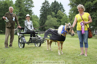 Podzámecká výstava