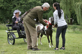 Podzámecká výstava