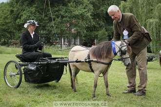 Podzámecká výstava