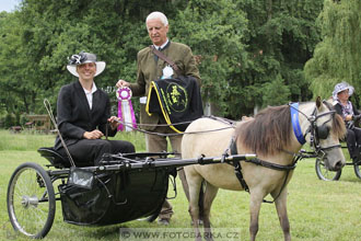 Podzámecká výstava