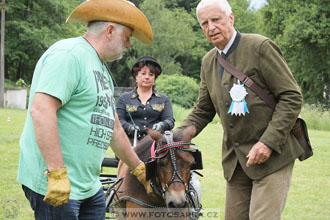 Podzámecká výstava