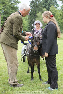 Podzámecká výstava