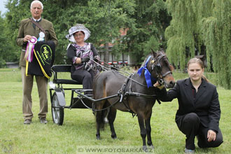 Podzámecká výstava