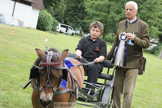 Podzámecká výstava