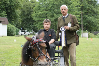 Podzámecká výstava