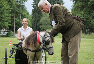 Podzámecká výstava