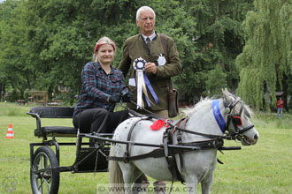 Podzámecká výstava