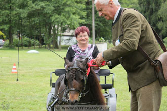 Podzámecká výstava