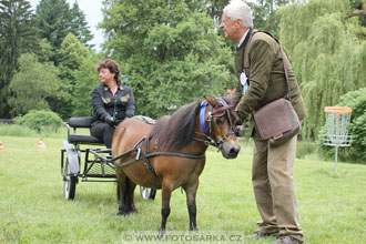 Podzámecká výstava