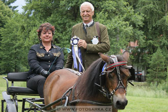 Podzámecká výstava