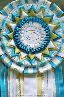 Podzámecká výstava