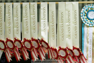 Podzámecká výstava