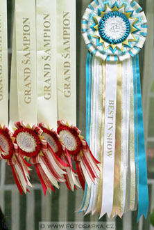 Podzámecká výstava