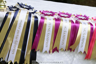 Podzámecká výstava