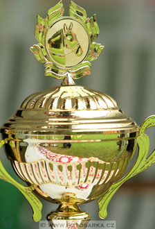 Podzámecká výstava