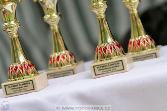 Podzámecká výstava